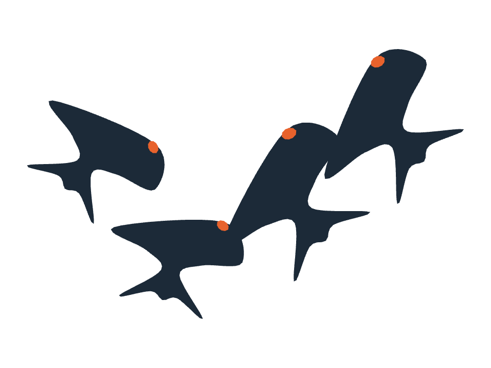 Wing Suit Flyer drawn along a curved stroke