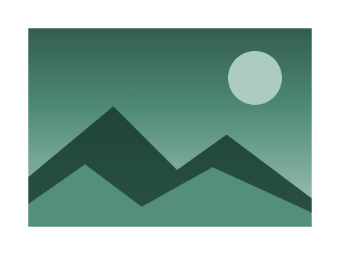 Eucalyptus applied to a shape and a letterform