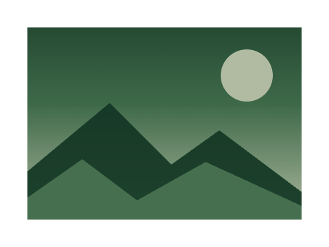 Forest and Bone applied to a shape and a letterform