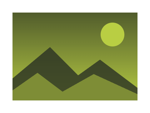Graphite and Chartreuse applied to a shape and a letterform