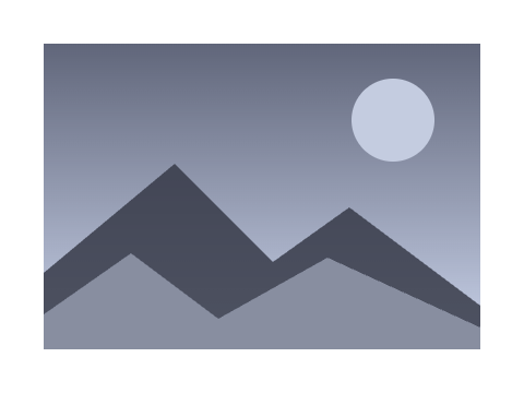 Instant Monochrome applied to a shape and a letterform