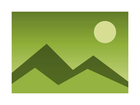 Meadow applied to a shape and a letterform