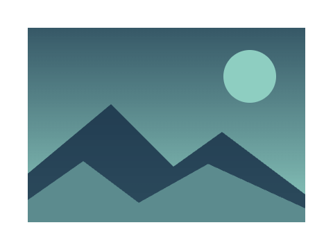 Mint and Navy applied to a shape and a letterform