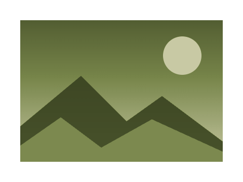 Moss and Bone applied to a shape and a letterform