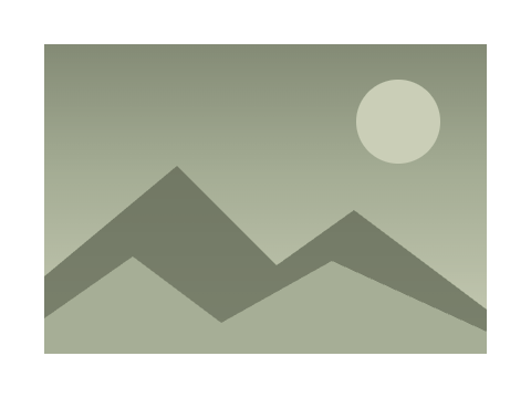 Olive Grove applied to a shape and a letterform
