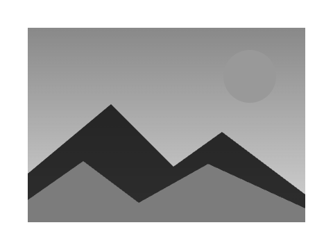Orthochromatic Plate applied to a shape and a letterform