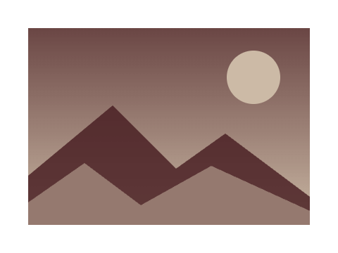 Oxblood and Oat applied to a shape and a letterform
