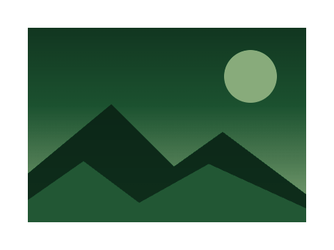 Pine Forest applied to a shape and a letterform