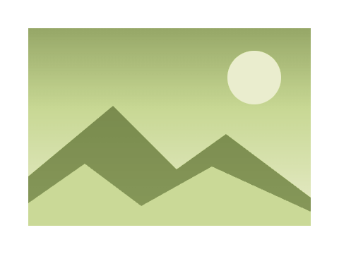 Pistachio applied to a shape and a letterform