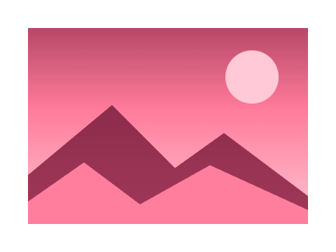 Raspberry Sorbet applied to a shape and a letterform