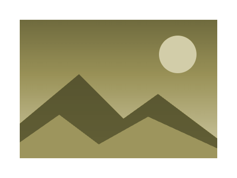 River Silt applied to a shape and a letterform