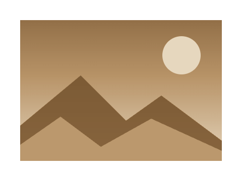 Walnut and Ivory applied to a shape and a letterform