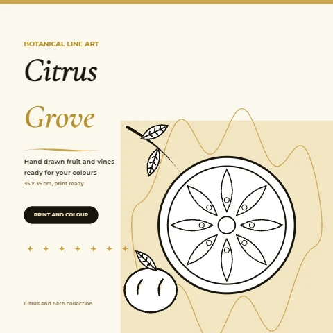 Citrus Grove Botanical Coloring Page