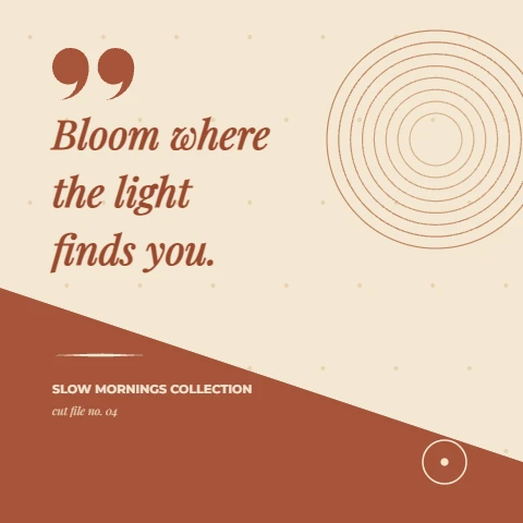 Bloom Where the Light Finds You