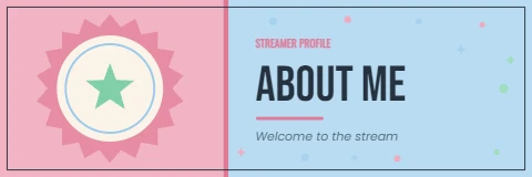 Retro neon about me twitch panel