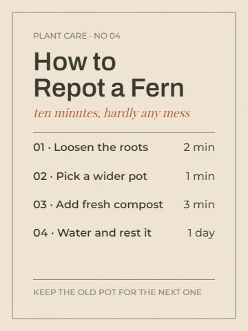 How to Repot a Fern Step Card