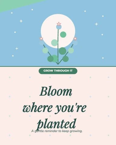 Bloom Where You're Planted quote post