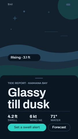 Cold and Calm Dark Mode Swim App Wireframe